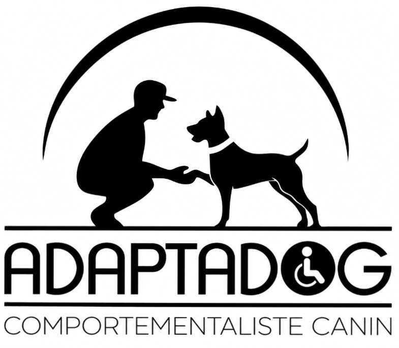 Adaptadog